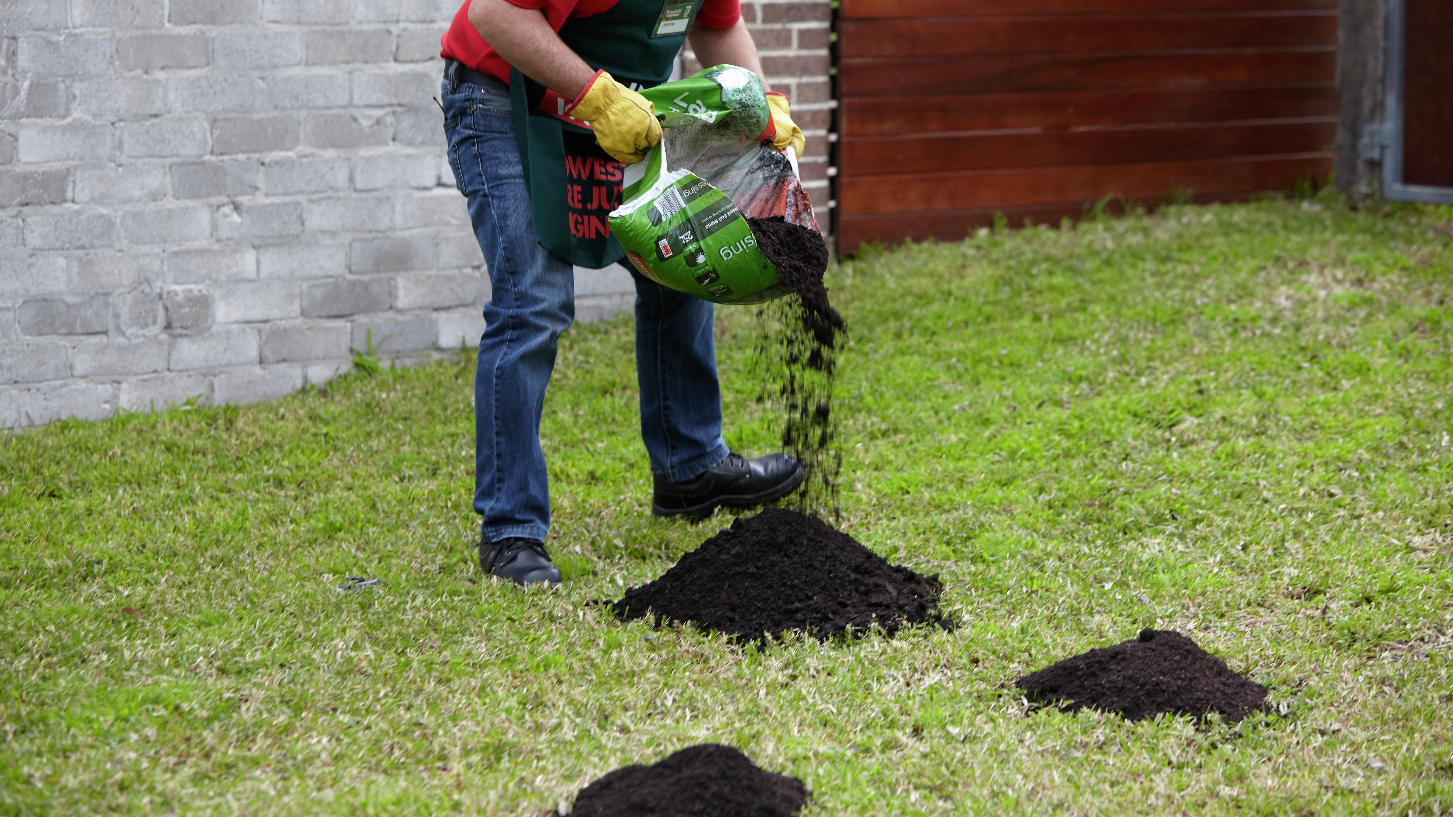 how to top dress a lawn